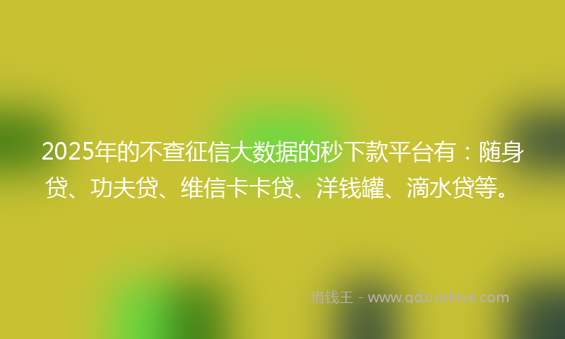 2025年的不查征信大数据的秒下款平台有：随身贷、功夫贷、维信卡卡贷、洋钱罐、滴水贷等。