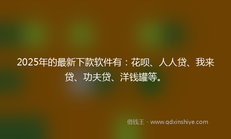2025年的最新下款软件有：花呗、人人贷、我来贷、功夫贷、洋钱罐等。