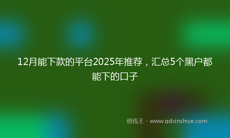 12月能下款的平台2025年推荐，汇总5个黑户都能下的口子