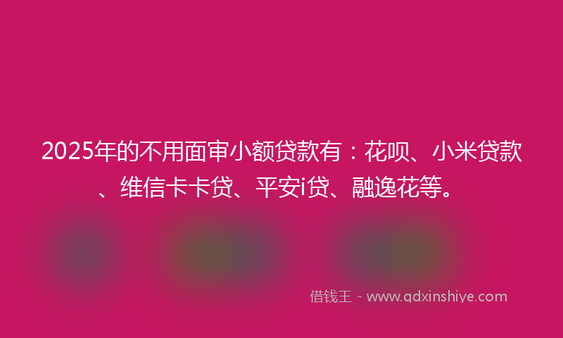 2025年的不用面审小额贷款有：花呗、小米贷款、维信卡卡贷、平安i贷、融逸花等。