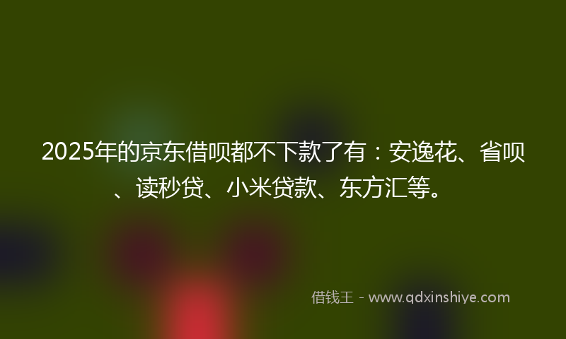 2025年的京东借呗都不下款了有：安逸花、省呗、读秒贷、小米贷款、东方汇等。