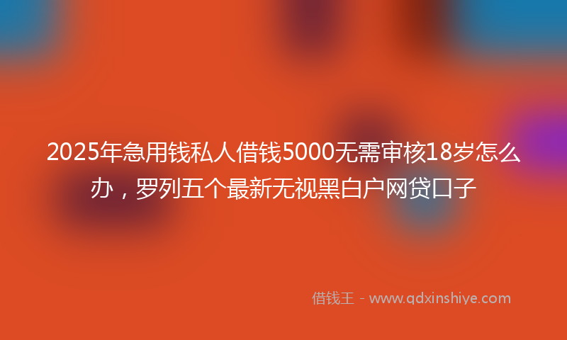 2025年急用钱私人借钱5000无需审核18岁怎么办，罗列五个最新无视黑白户网贷口子