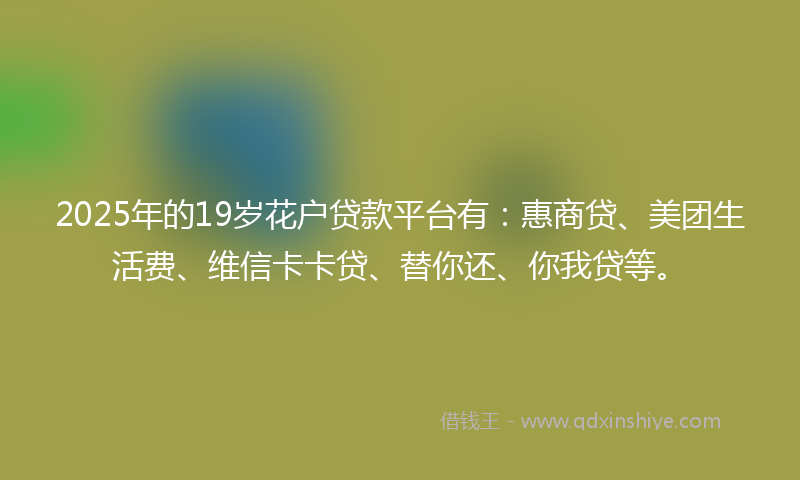 2025年的19岁花户贷款平台有：惠商贷、美团生活费、维信卡卡贷、替你还、你我贷等。