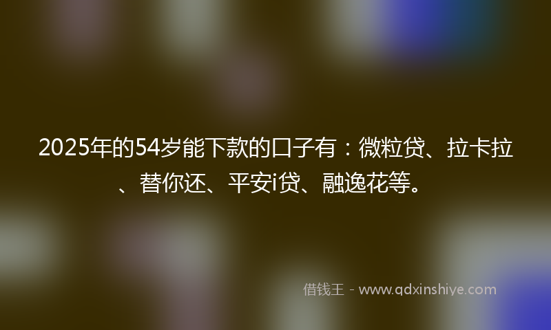2025年的54岁能下款的口子有：微粒贷、拉卡拉、替你还、平安i贷、融逸花等。