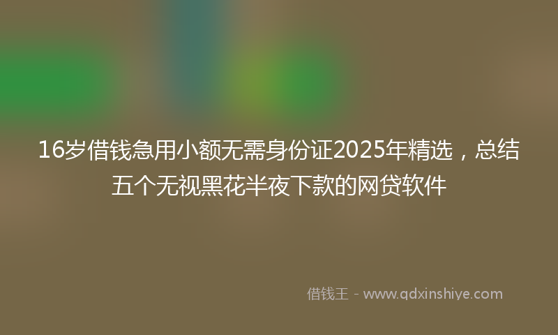 16岁借钱急用小额无需身份证2025年精选，总结五个无视黑花半夜下款的网贷软件