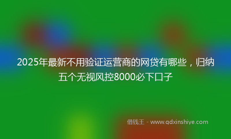 2025年最新不用验证运营商的网贷有哪些，归纳五个无视风控8000必下口子