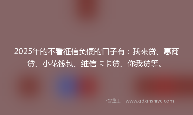 2025年的不看征信负债的口子有：我来贷、惠商贷、小花钱包、维信卡卡贷、你我贷等。