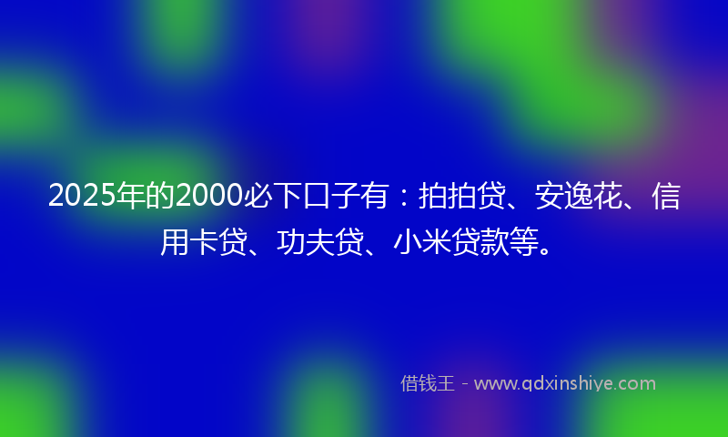 2025年的2000必下口子有：拍拍贷、安逸花、信用卡贷、功夫贷、小米贷款等。