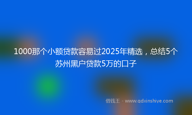 1000那个小额贷款容易过2025年精选，总结5个苏州黑户贷款5万的口子