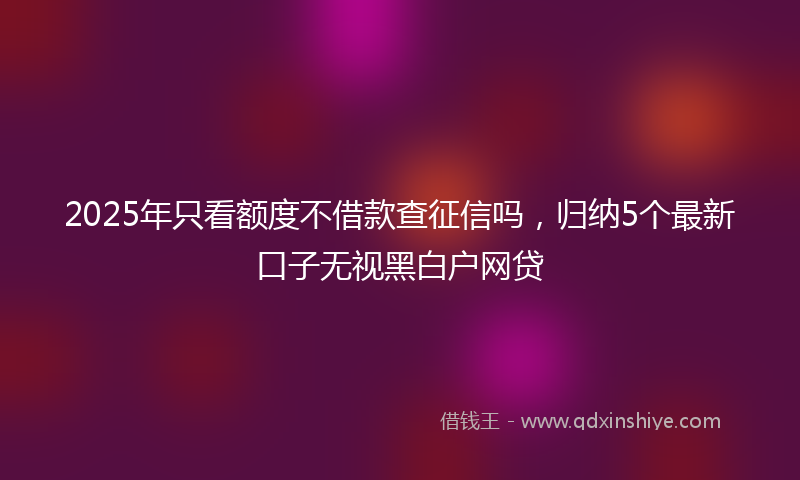 2025年只看额度不借款查征信吗，归纳5个最新口子无视黑白户网贷