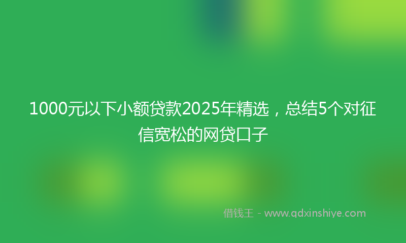 1000元以下小额贷款2025年精选，总结5个对征信宽松的网贷口子