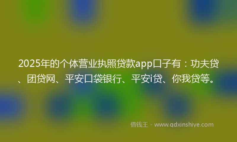 2025年的个体营业执照贷款app口子有：功夫贷、团贷网、平安口袋银行、平安i贷、你我贷等。