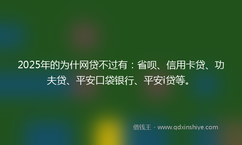 2025年的为什网贷不过有：省呗、信用卡贷、功夫贷、平安口袋银行、平安i贷等。