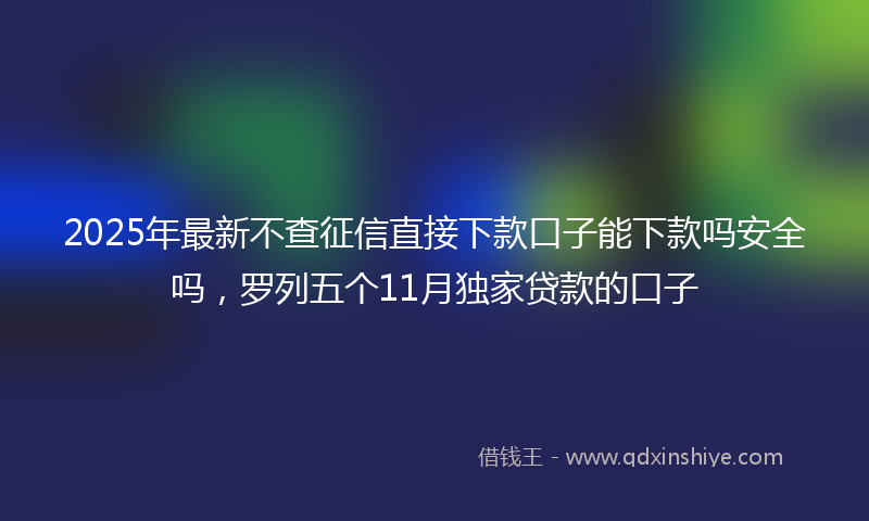 2025年最新不查征信直接下款口子能下款吗安全吗，罗列五个11月独家贷款的口子