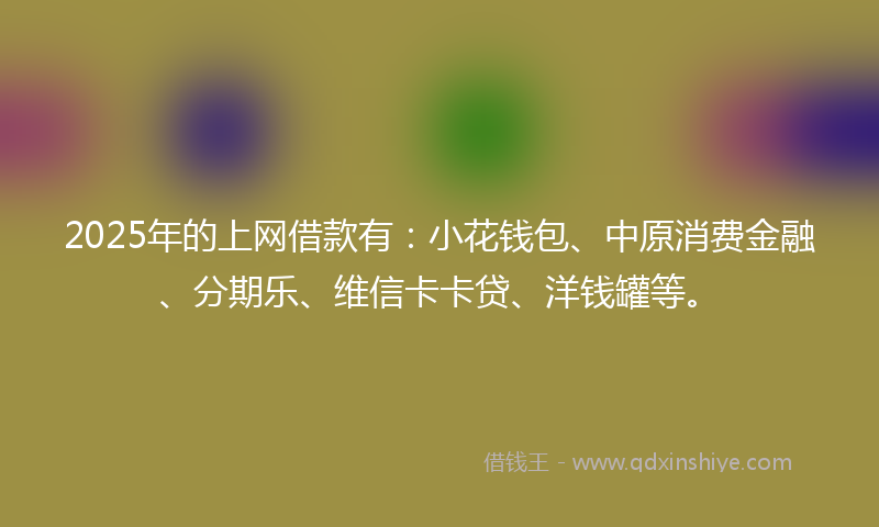 2025年的上网借款有：小花钱包、中原消费金融、分期乐、维信卡卡贷、洋钱罐等。