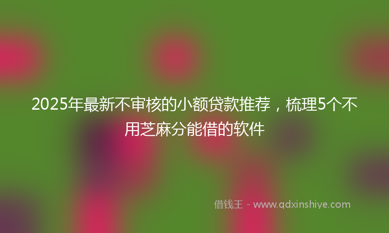 2025年最新不审核的小额贷款推荐，梳理5个不用芝麻分能借的软件
