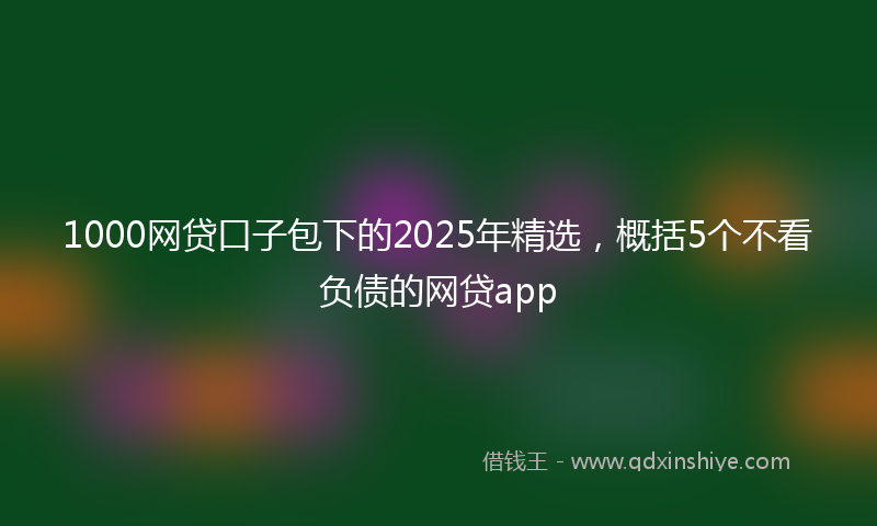 1000网贷口子包下的2025年精选，概括5个不看负债的网贷app