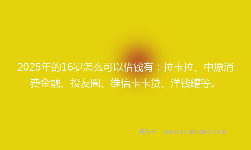 2025年的16岁怎么可以借钱有：拉卡拉、中原消费金融、投友圈、维信卡卡贷、洋钱罐等。