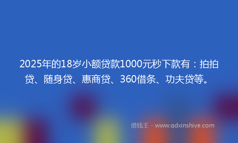2025年的18岁小额贷款1000元秒下款有：拍拍贷、随身贷、惠商贷、360借条、功夫贷等。