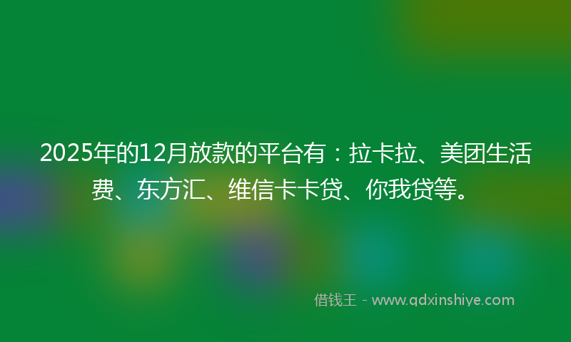 2025年的12月放款的平台有：拉卡拉、美团生活费、东方汇、维信卡卡贷、你我贷等。