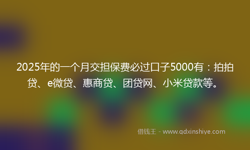 2025年的一个月交担保费必过口子5000有：拍拍贷、e微贷、惠商贷、团贷网、小米贷款等。
