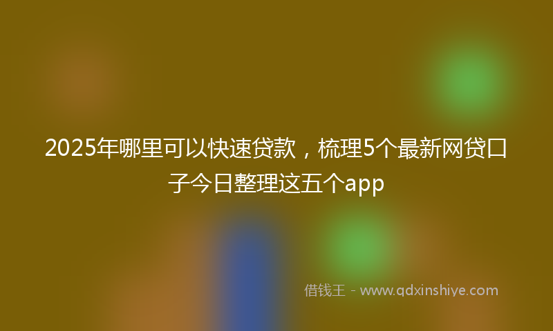 2025年哪里可以快速贷款，梳理5个最新网贷口子今日整理这五个app