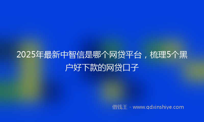 2025年最新中智信是哪个网贷平台，梳理5个黑户好下款的网贷口子