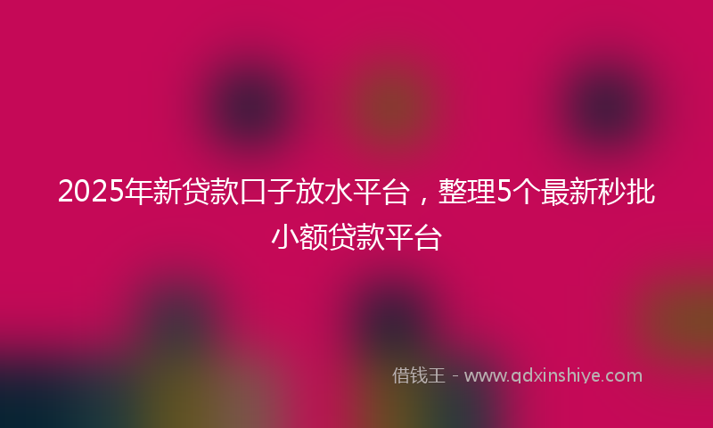 2025年新贷款口子放水平台，整理5个最新秒批小额贷款平台