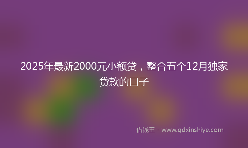 2025年最新2000元小额贷，整合五个12月独家贷款的口子