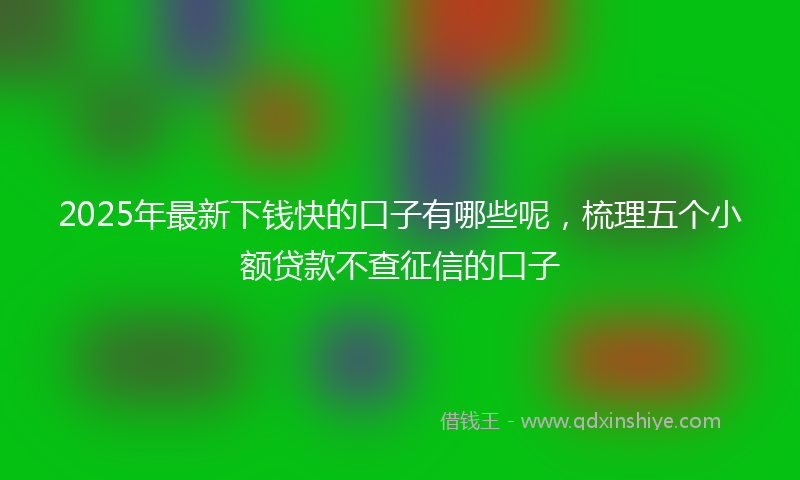 2025年最新下钱快的口子有哪些呢，梳理五个小额贷款不查征信的口子