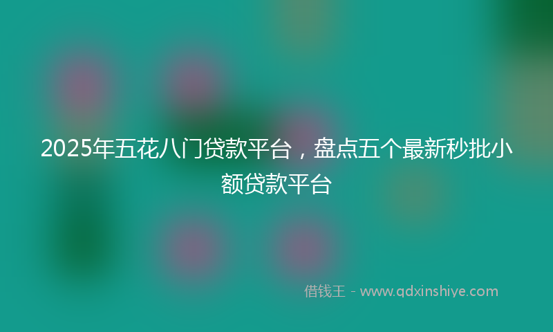 2025年五花八门贷款平台，盘点五个最新秒批小额贷款平台