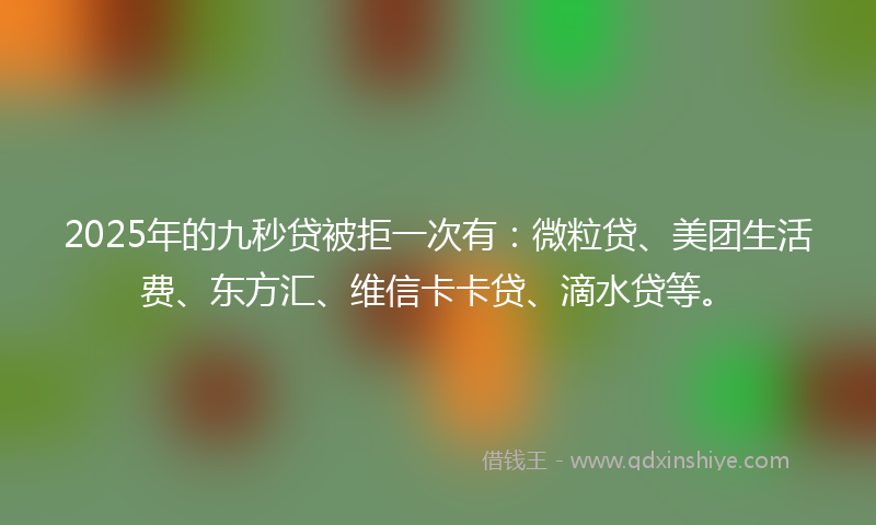 2025年的九秒贷被拒一次有：微粒贷、美团生活费、东方汇、维信卡卡贷、滴水贷等。