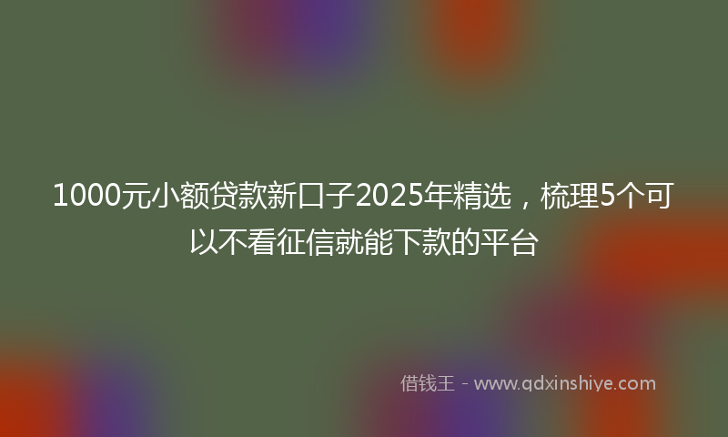 1000元小额贷款新口子2025年精选，梳理5个可以不看征信就能下款的平台