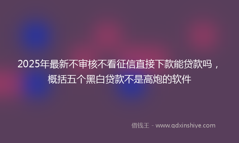 2025年最新不审核不看征信直接下款能贷款吗，概括五个黑白贷款不是高炮的软件