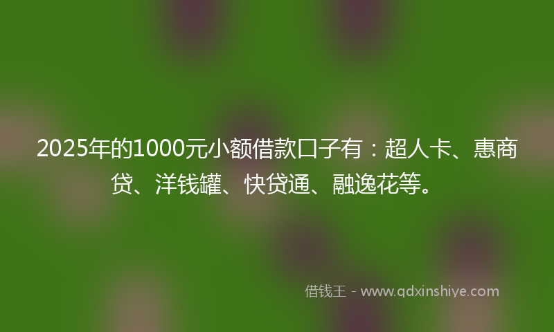 2025年的1000元小额借款口子有：超人卡、惠商贷、洋钱罐、快贷通、融逸花等。