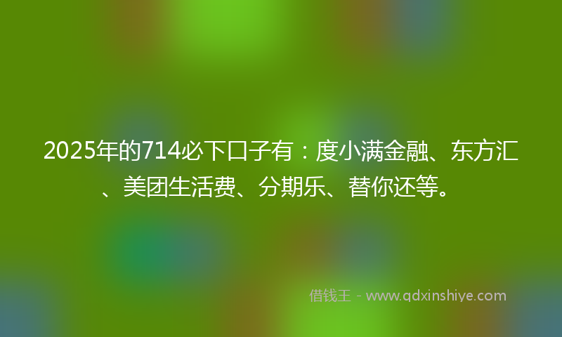 2025年的714必下口子有：度小满金融、东方汇、美团生活费、分期乐、替你还等。