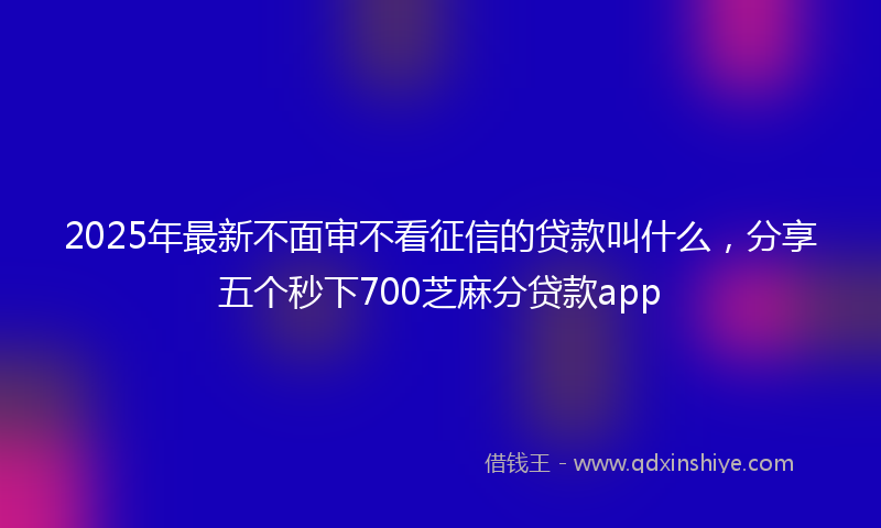 2025年最新不面审不看征信的贷款叫什么，分享五个秒下700芝麻分贷款app