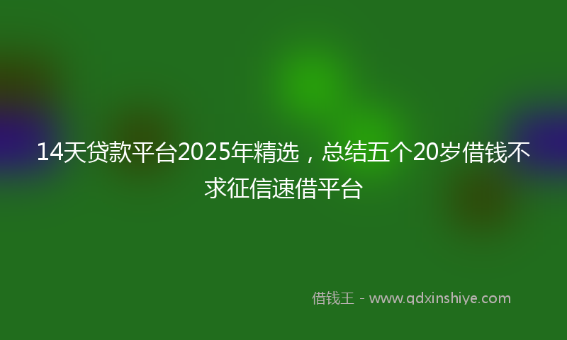 14天贷款平台2025年精选，总结五个20岁借钱不求征信速借平台