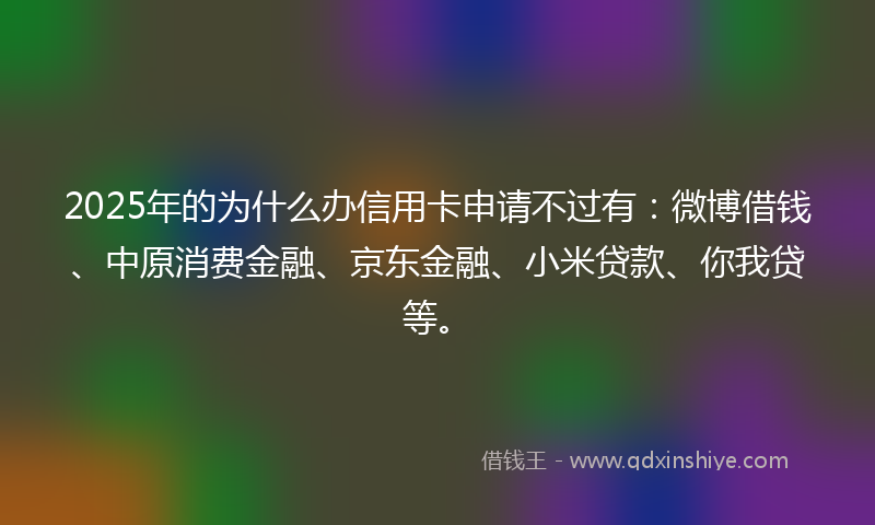 2025年的为什么办信用卡申请不过有：微博借钱、中原消费金融、京东金融、小米贷款、你我贷等。