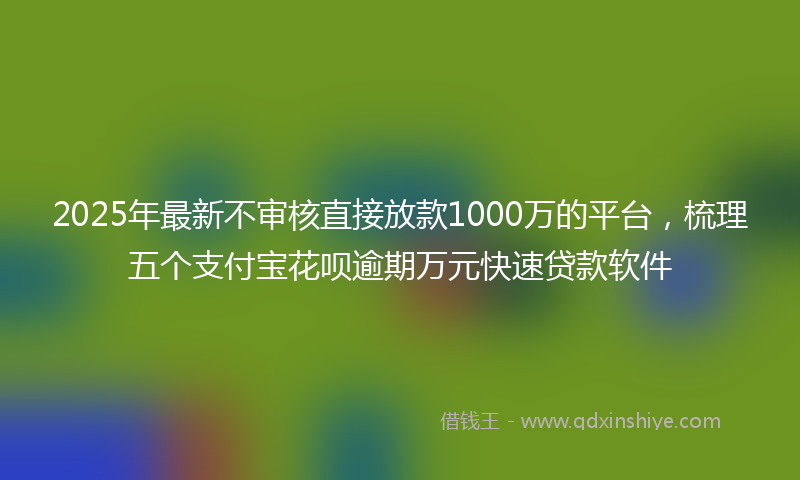 2025年最新不审核直接放款1000万的平台，梳理五个支付宝花呗逾期万元快速贷款软件