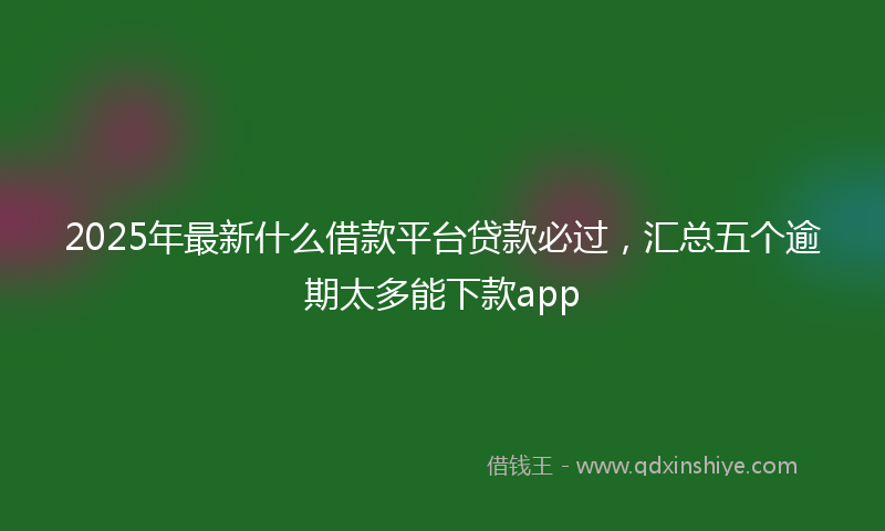 2025年最新什么借款平台贷款必过，汇总五个逾期太多能下款app