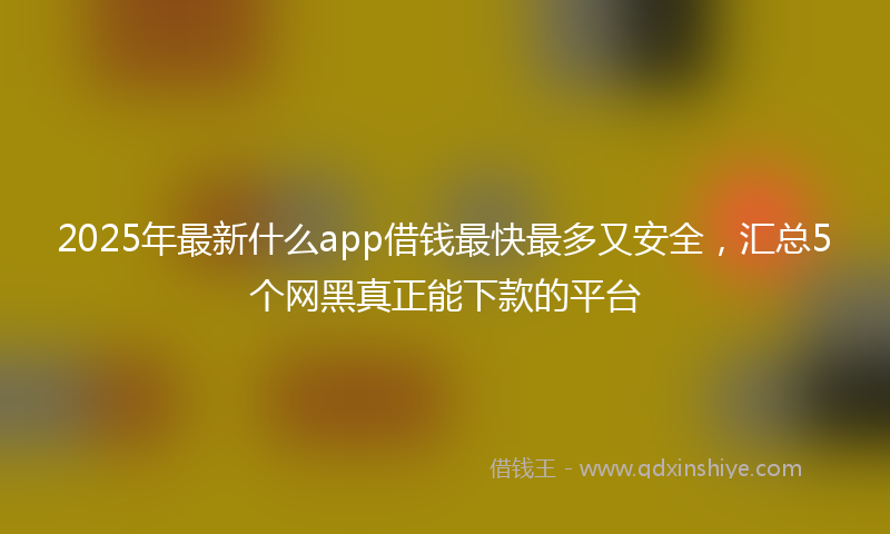 2025年最新什么app借钱最快最多又安全，汇总5个网黑真正能下款的平台