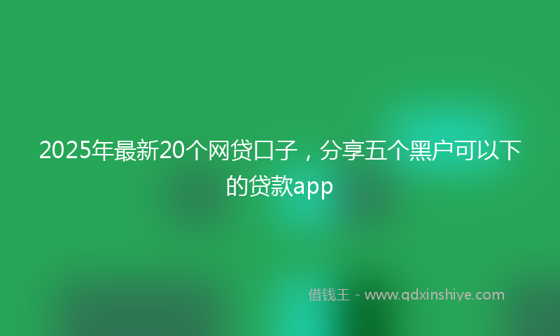 2025年最新20个网贷口子，分享五个黑户可以下的贷款app