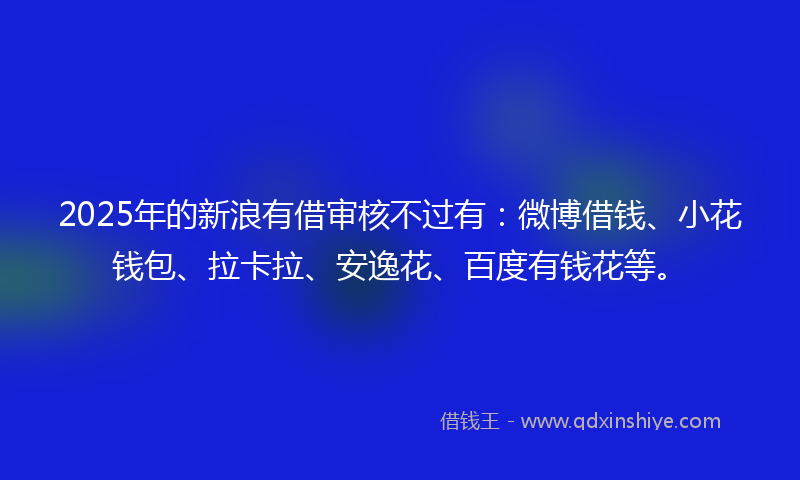 2025年的新浪有借审核不过有：微博借钱、小花钱包、拉卡拉、安逸花、百度有钱花等。