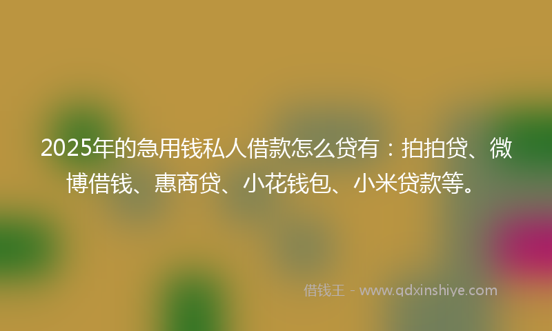 2025年的急用钱私人借款怎么贷有：拍拍贷、微博借钱、惠商贷、小花钱包、小米贷款等。