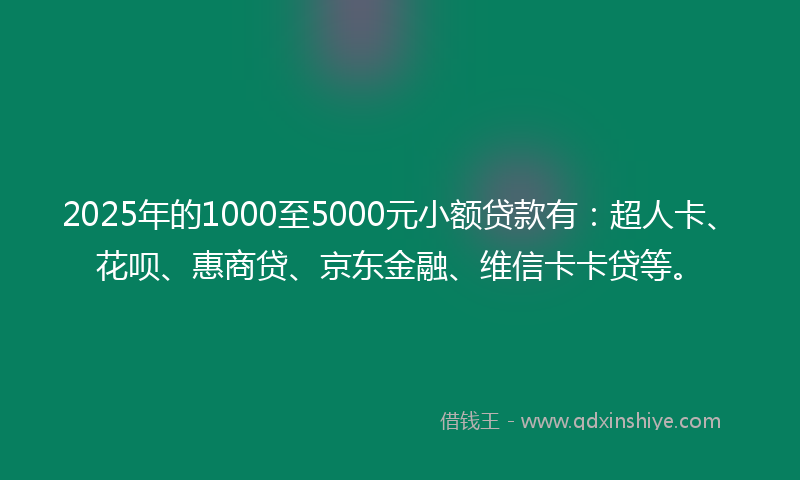 2025年的1000至5000元小额贷款有：超人卡、花呗、惠商贷、京东金融、维信卡卡贷等。
