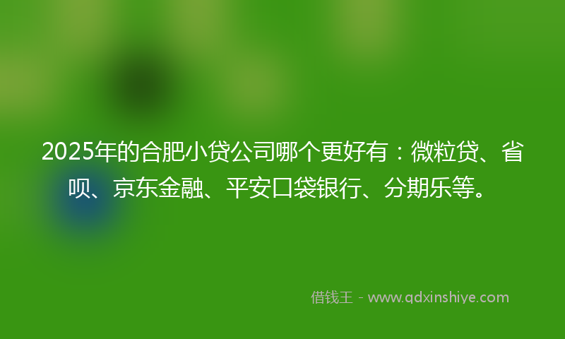 2025年的合肥小贷公司哪个更好有：微粒贷、省呗、京东金融、平安口袋银行、分期乐等。