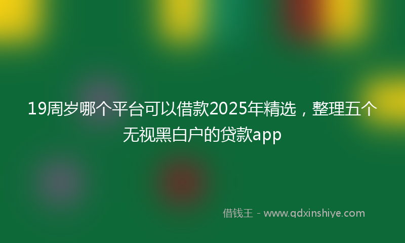 19周岁哪个平台可以借款2025年精选，整理五个无视黑白户的贷款app