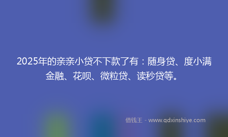 2025年的亲亲小贷不下款了有：随身贷、度小满金融、花呗、微粒贷、读秒贷等。