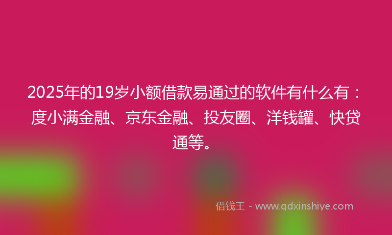 2025年的19岁小额借款易通过的软件有什么有：度小满金融、京东金融、投友圈、洋钱罐、快贷通等。